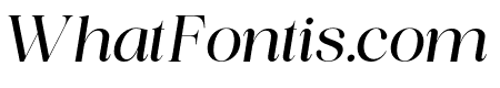 Piloner Medium Italic