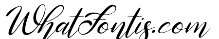 Ricadya Italic