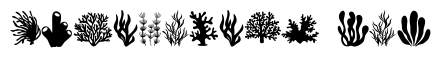 Sea Coral