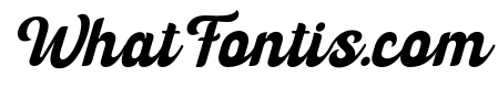 Skyhill Medium Italic