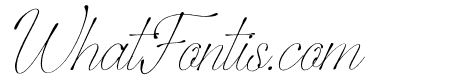 Stelaroy Italic