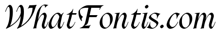 The Hierarchy Italic
