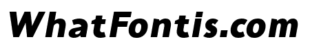 Tous Bold Italic
