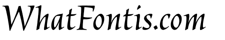 Census VF Italic 3 Standard