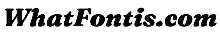 Fraunces Black Italic