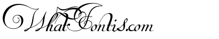 Van den Velde Script
