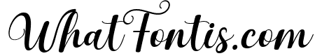Amelia Italic Italic