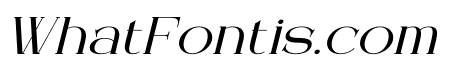 Arleon Domenk Italic
