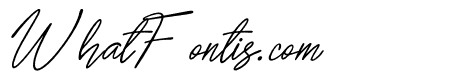 Belayita Italic