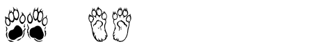 Cat Paws Love Love Regular