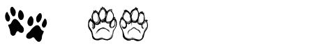 Dog Paws Wow Wow  Regular