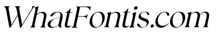 Editorial Today Thin Italic