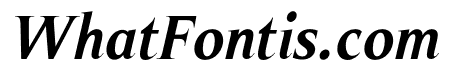 Fenoom Italic Bold