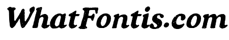 Fortnight Bold Italic
