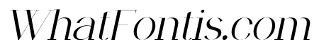FRANCO CENTURY Thin Italic