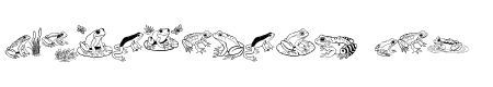 Frog Doodle