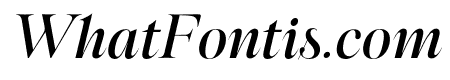 Megafield Medium Italic