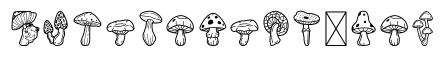 MushroomDoodle