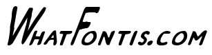 Zamboni Joe Italic