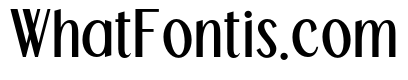 TBJ Palatino Sans Serif SemBd