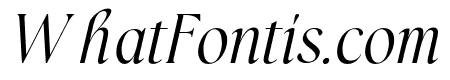 Rainfolk Italic