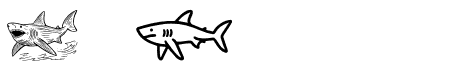 Shark Regular