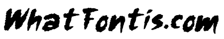 The Folacie Italic