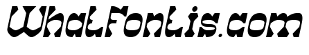 THE HORSE'S STEP Italic
