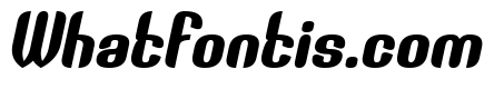 THE PROCESSOR Bold Italic