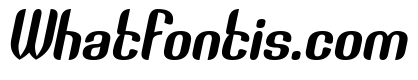 THE PROCESSOR Italic