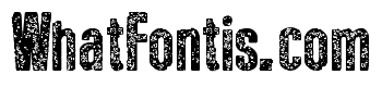 New Press Eroded Bold