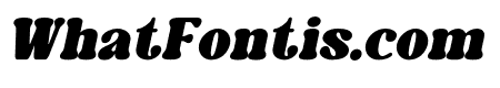 Caromy Extra Black Italic