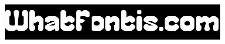 CHUBBY TECH-Inverse