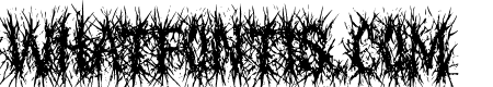 Codams