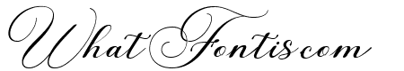 Lamborghini Script