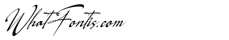 Logically Signature Italic