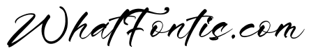Minute Elegant