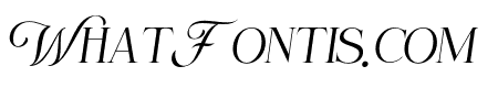 Selnonce Italic