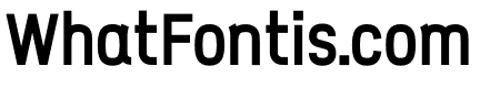 ZF2334 Squarish ExtraBold