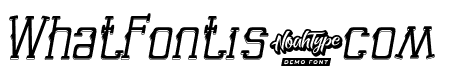 End Seconds Demo Italic