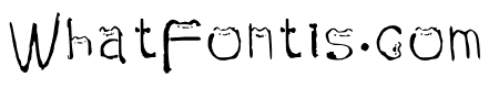 Cat Regular