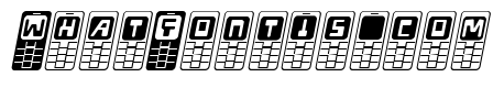 Hola Mota Italic