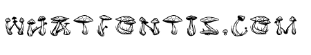 Mushies Regular
