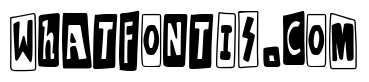 Punk Homo Erectus