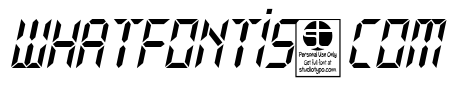 Typo Digit Demo Italic