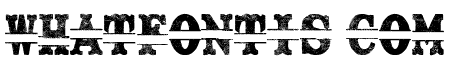 Split Letras