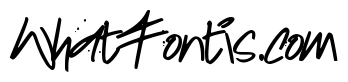 HIDDEN TAGS