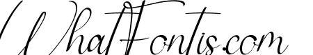 Ainsley Signature