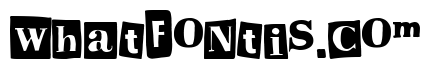 Anonymous Punk