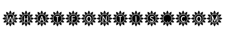 Sunflower Alphabet Solid